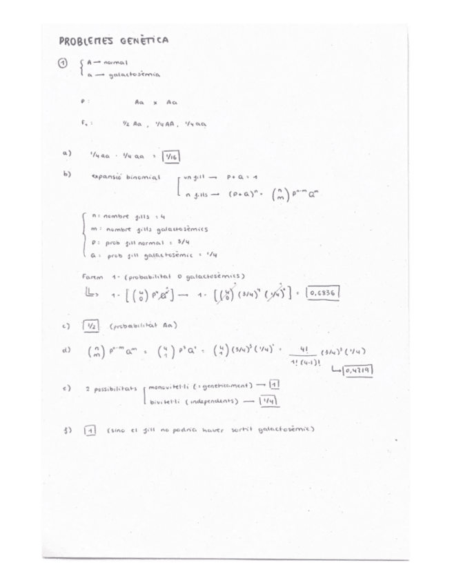 Miniatura del documento problemes-genetica.pdf