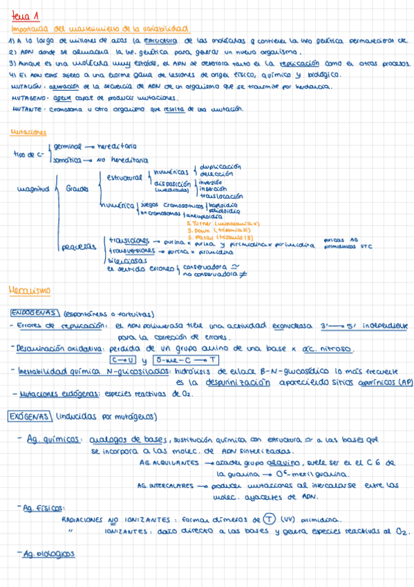 Miniatura del documento bioquimica-ii-RESUMEN.pdf
