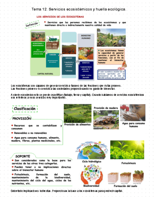 Miniatura del documento Tema-12.pdf