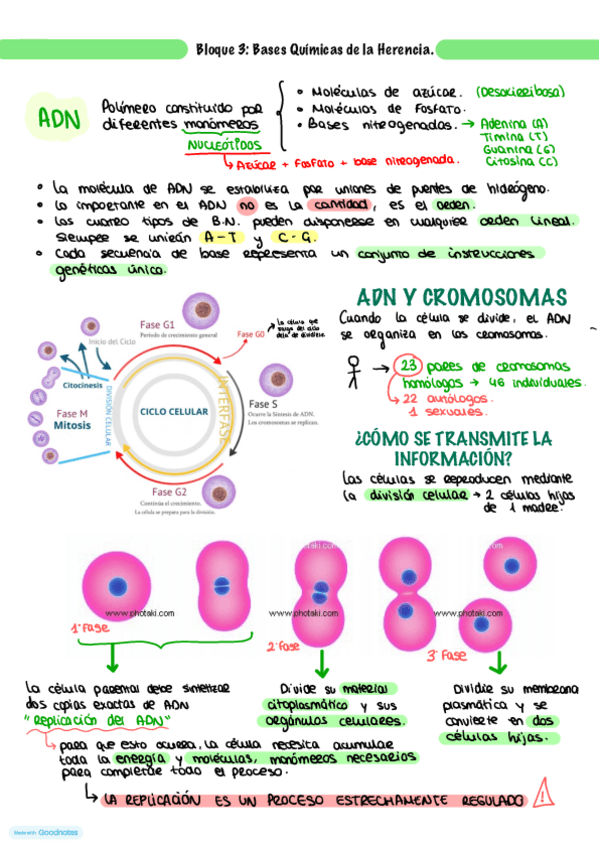 Miniatura del documento ESQUEMAS-PRINCIPIOS-DE-LAHERENCIA--BLOQUE-3.pdf