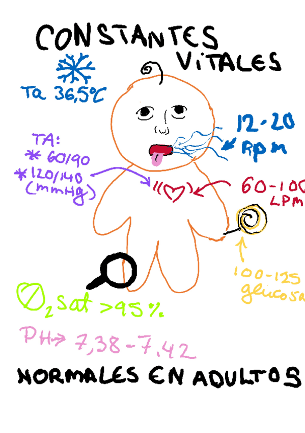 Miniatura del documento Constantes vitales.pdf