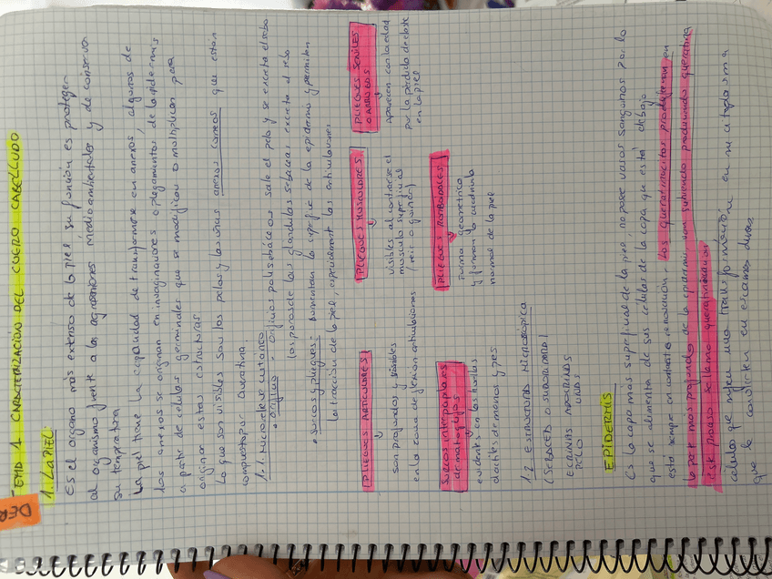 Miniatura del documento image.jpg