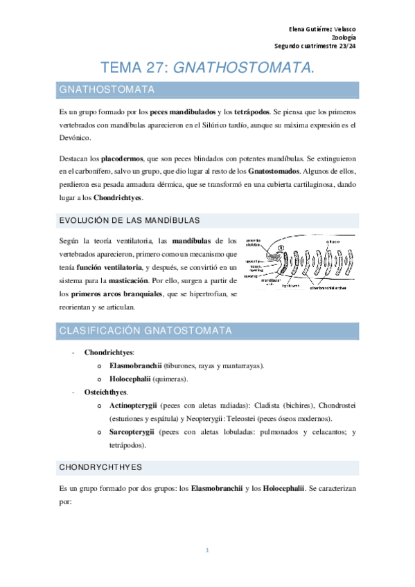 Miniatura del documento tema-27-Gnathostomata.pdf