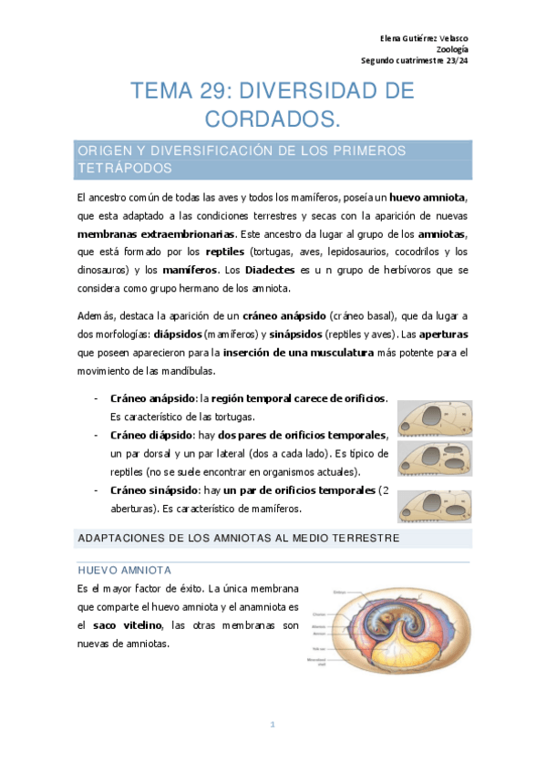Miniatura del documento tema-29-diversidad-de-cordados.pdf