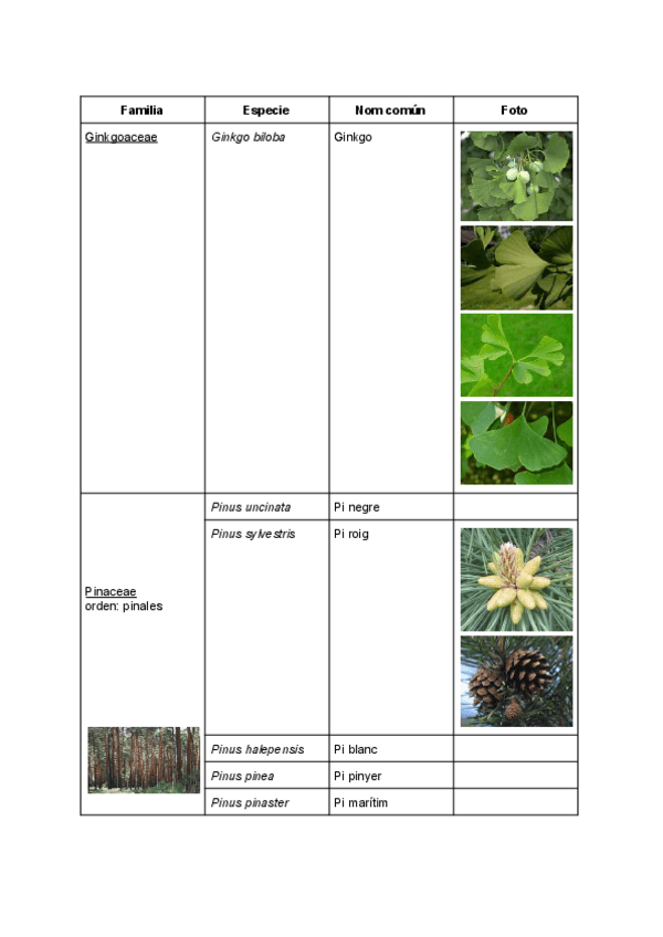 Miniatura del documento Reconocimiento-de-plantas-actualizado.pdf