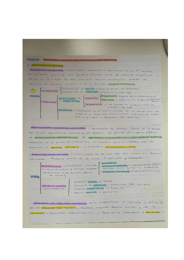 Miniatura del documento TEMA-12.pdf