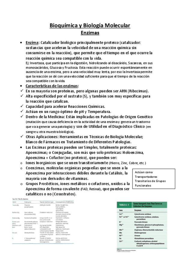 Miniatura del documento Bioquimica-y-Biologia-Molecular-APUNTES-2-Enzimas.pdf