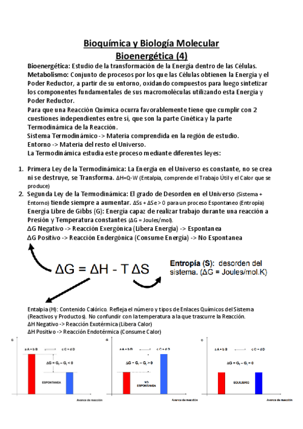 Miniatura del documento Bioquimica-y-Biologia-Molecular-APUNTES-4-Bioenerg-y-Krebs.pdf