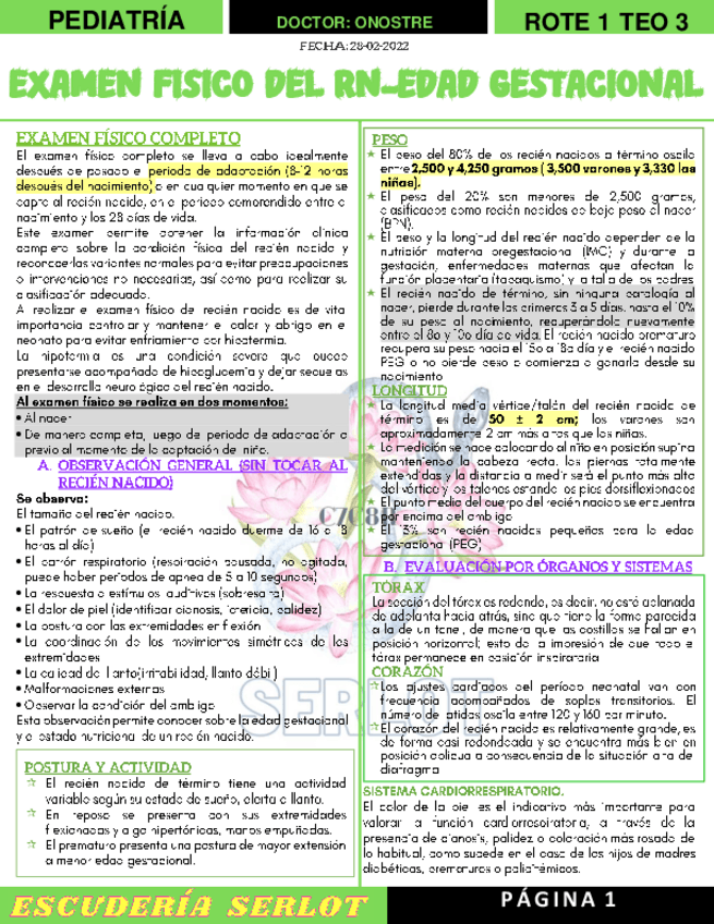 Miniatura del documento R1-T3-EXAMEN-FISICO-DEL-RN-EDAD-GESTACIONAL--PEDIATRIA.pdf