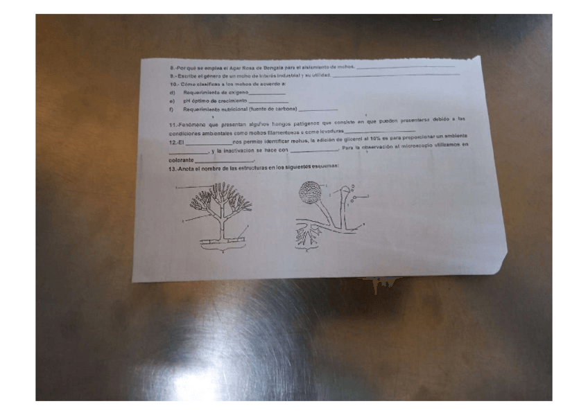 Miniatura del documento parcial-1.pdf