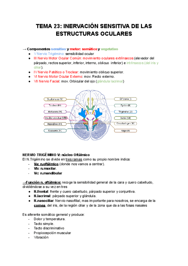 Miniatura del documento TEMA-23-INERVACION-SENSITIVA-DE-LAS-ESTRUCTURAS-OCULARES-.pdf