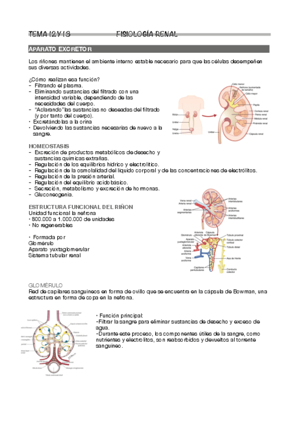 Miniatura del documento Tema-12-y-13.pdf