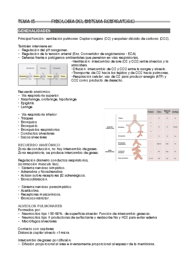 Miniatura del documento Tema-15.pdf