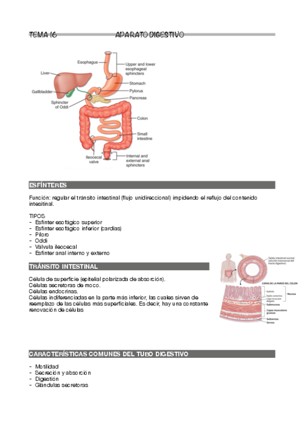Miniatura del documento Tema-16.pdf