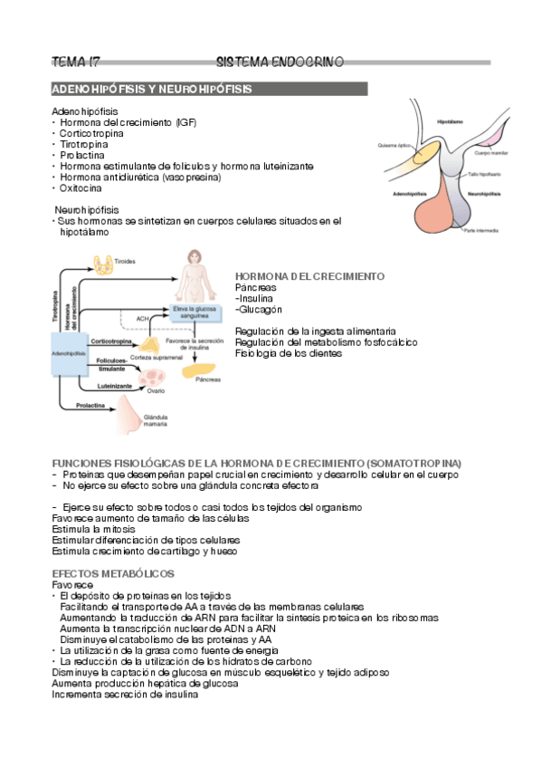 Miniatura del documento Tema-17.pdf