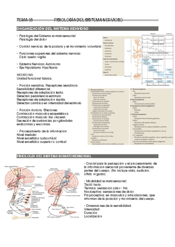 Miniatura del documento Tema-18.pdf