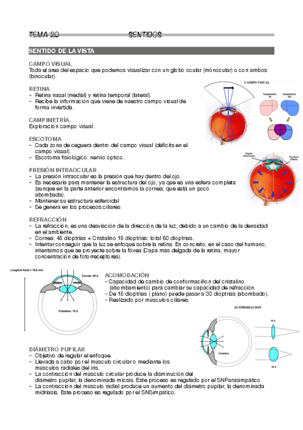 Miniatura del documento Tema-20.pdf