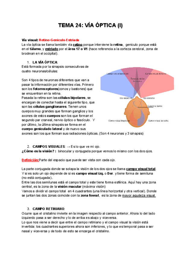Miniatura del documento ANTEMA-24-VIA-OPTICA-I.pdf