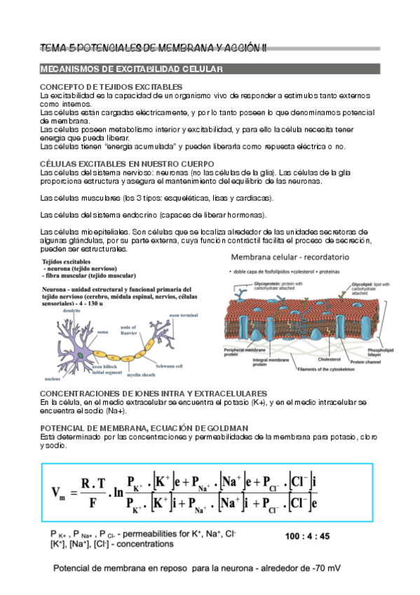 Miniatura del documento Tema-5.pdf