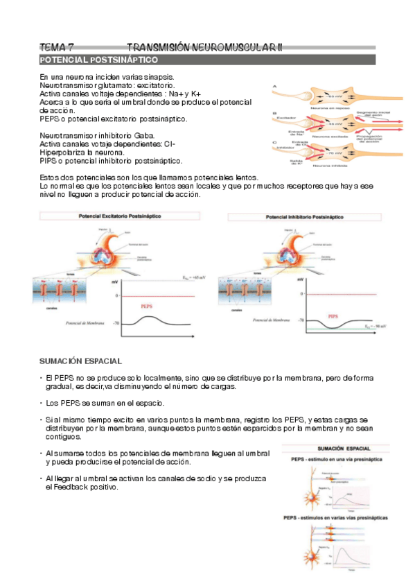 Miniatura del documento Tema-7.pdf