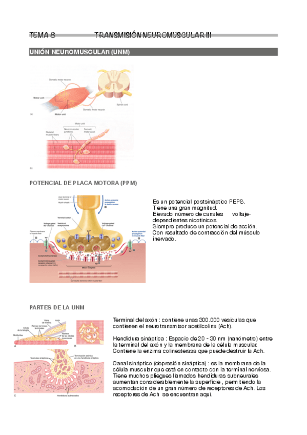 Miniatura del documento Tema-8.pdf