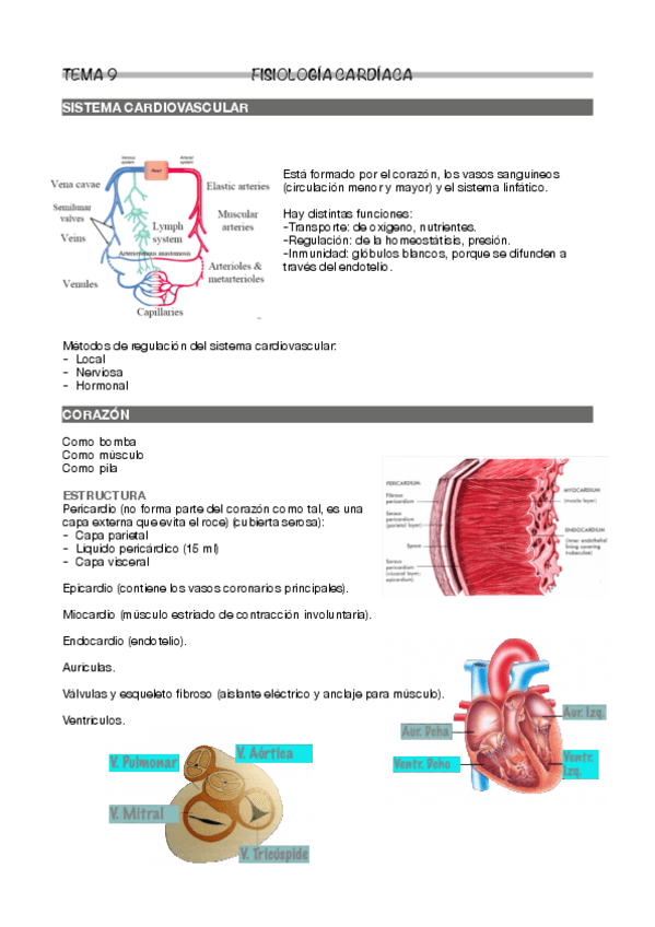 Miniatura del documento Tema-9.pdf