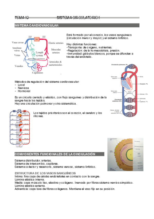 Miniatura del documento Tema-10.pdf