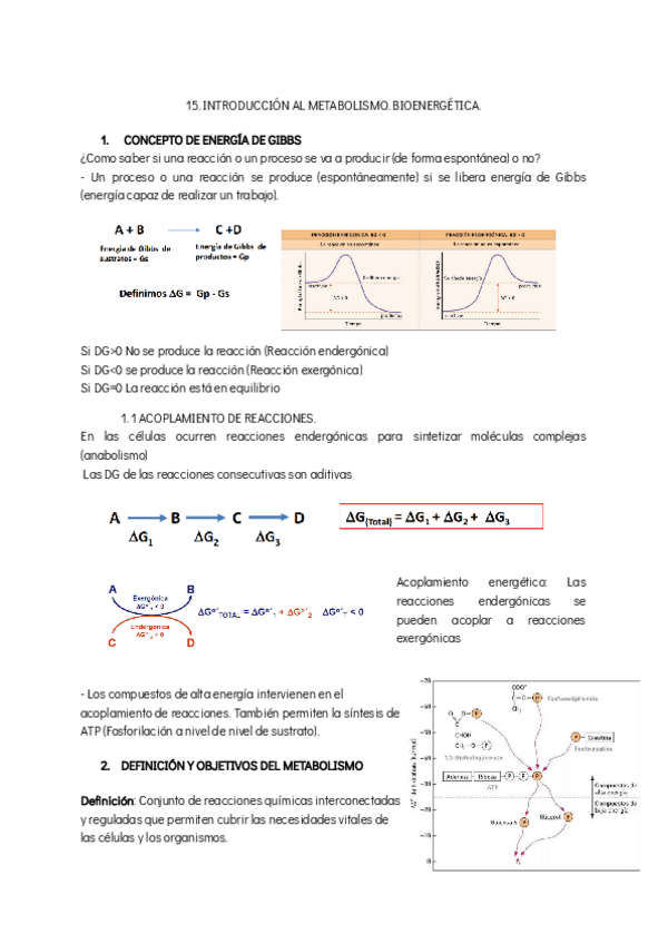 Miniatura del documento BIOQUIMICA-15-INTRODUCCION-AL-METABOLISMO-1.pdf