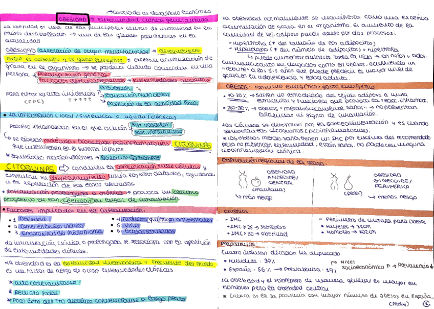 Miniatura del documento Esquemita-obesidad-Mery.pdf