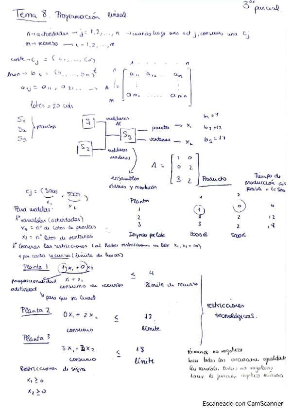 Miniatura del documento apuntes-programacion-lineal-y-ejercicios-resueltos.pdf