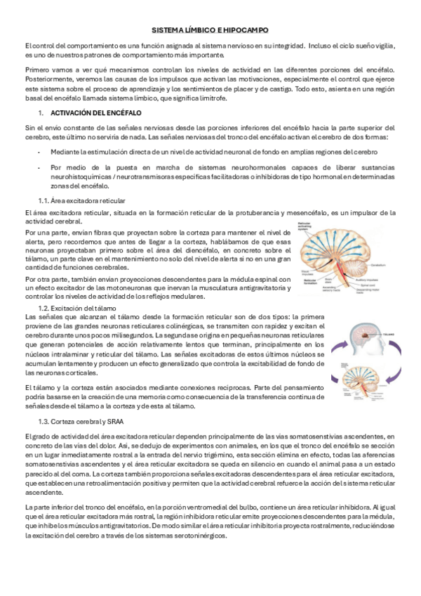 Miniatura del documento SISTEMA-LIMBICO-E-HIPOCAMPO.pdf