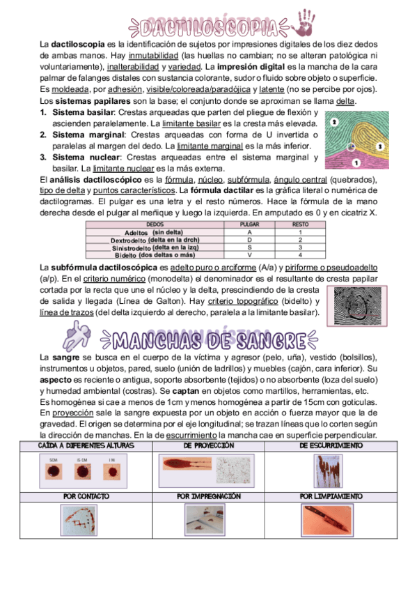 Miniatura del documento PRACTICAS.pdf