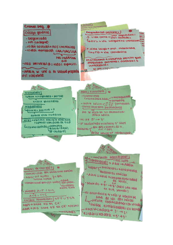 Miniatura del documento Segundo-parcial-biologia.pdf