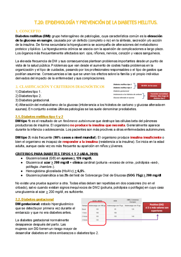 Miniatura del documento T.20.pdf