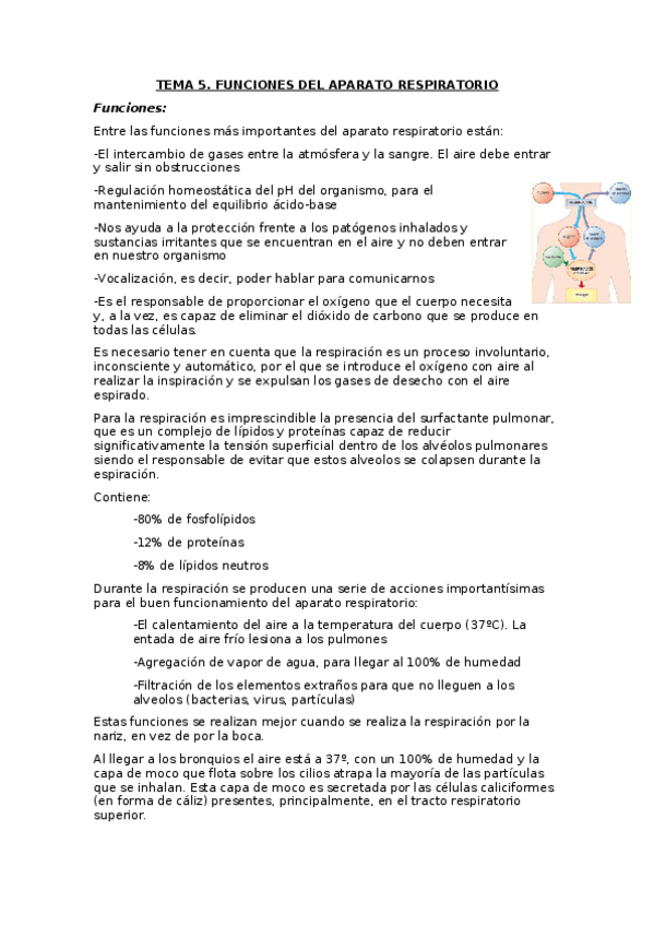 Miniatura del documento TEMA-5.docx