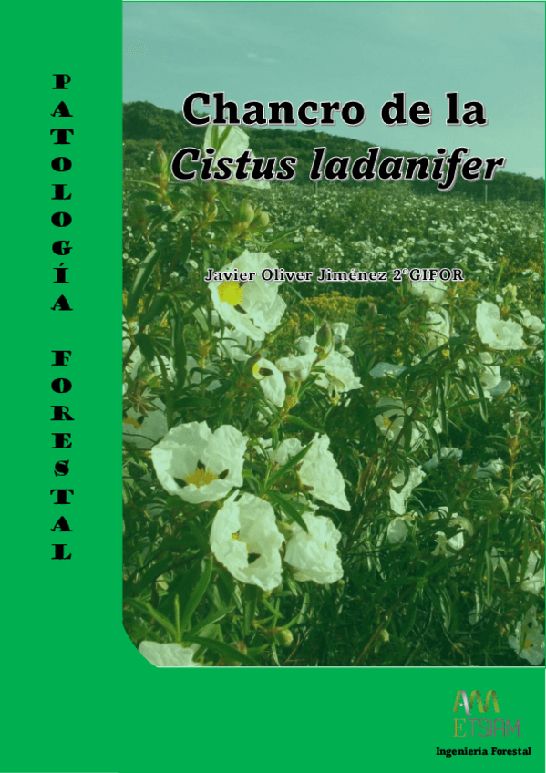 Miniatura del documento Ficha-de-enfermedad-individual-finalizada.pdf