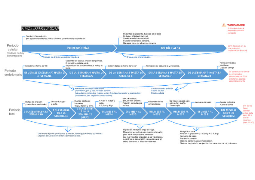 Miniatura del documento PSICOLOGIA-Desarrollo-prenatal.pdf