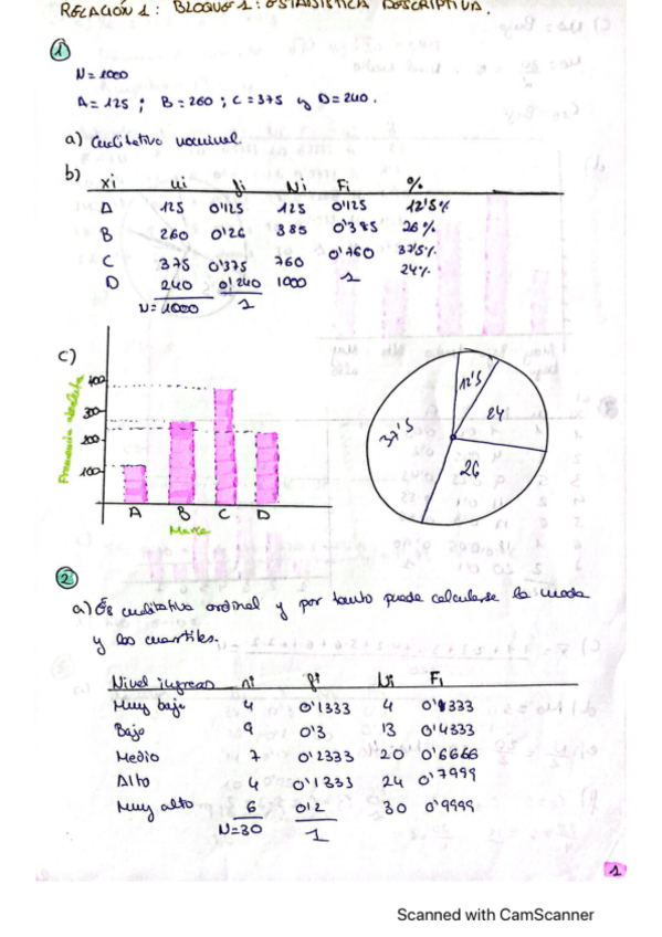 Miniatura del documento relacion-1-estadistica.pdf