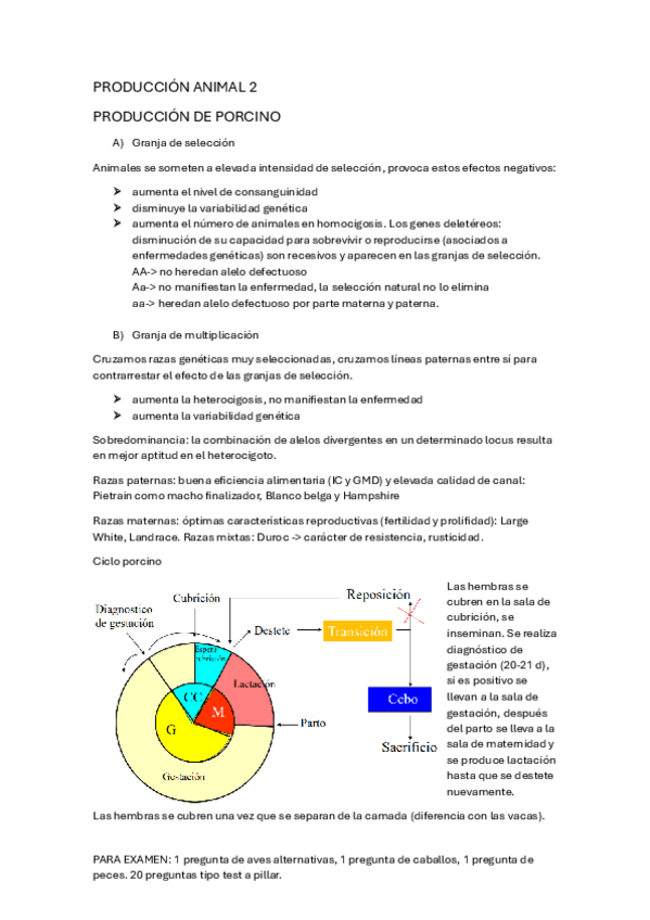 Miniatura del documento Todo-Produ-2.pdf