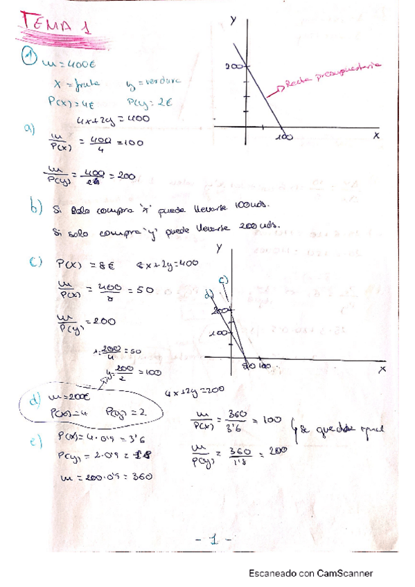 Miniatura del documento microeconomia.pdf