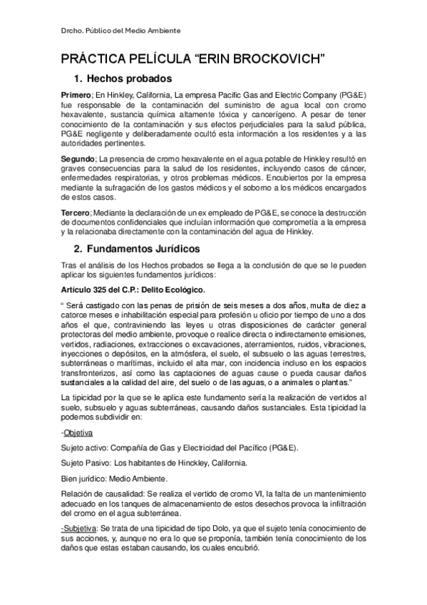 Miniatura del documento PRACTICA-PELICULA-Erin-Brockovich.pdf