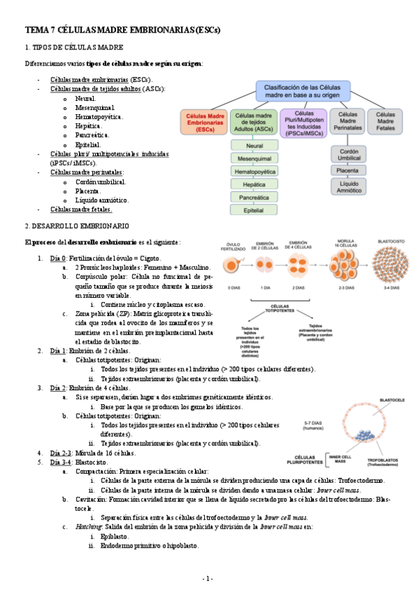 Miniatura del documento MEDICINA-REGENERATIVA-TEMA-7-CELULAS-MADRE-EMBRIONARIAS.pdf