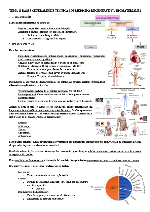 Miniatura del documento MEDICINA-REGENERATIVA-TEMA-10-BASES-GENERALES-DE-TECNICAS-DE-MEDICINA-REGENERATIVA.pdf