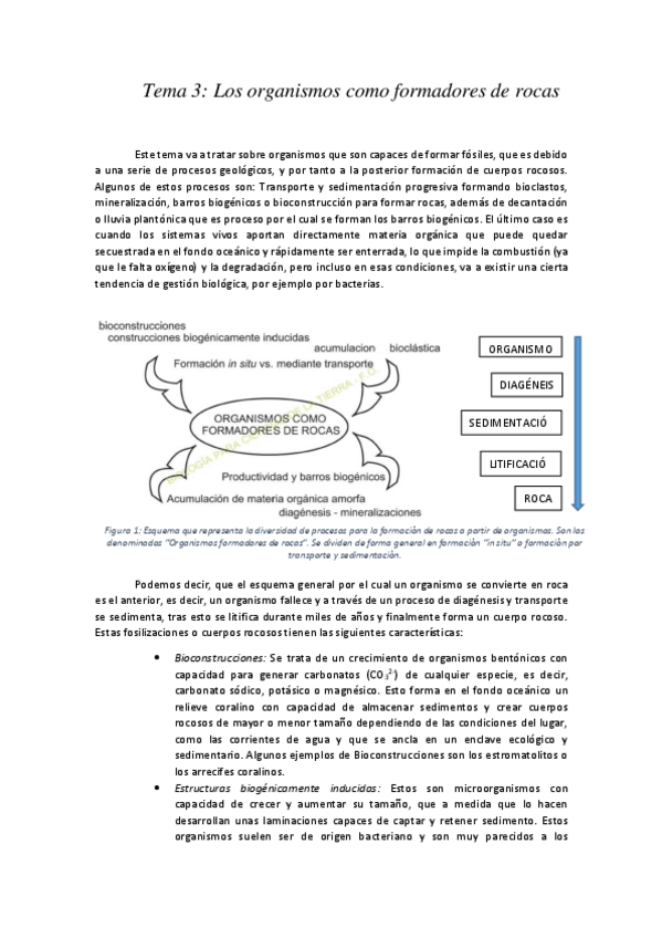 Miniatura del documento Tema 3. Los organismos como formadores de rocas.pdf