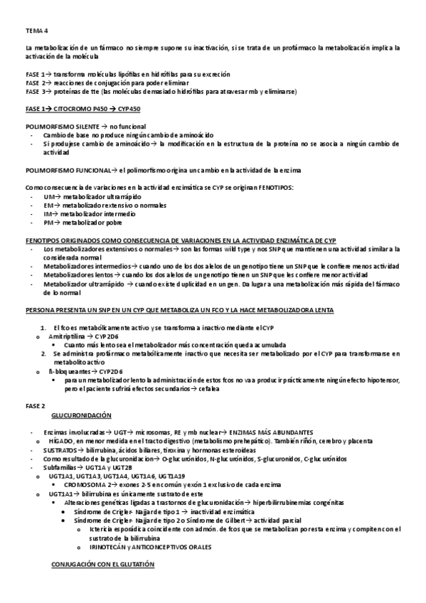 Miniatura del documento RESUMEN-FINAL-FAFA.pdf