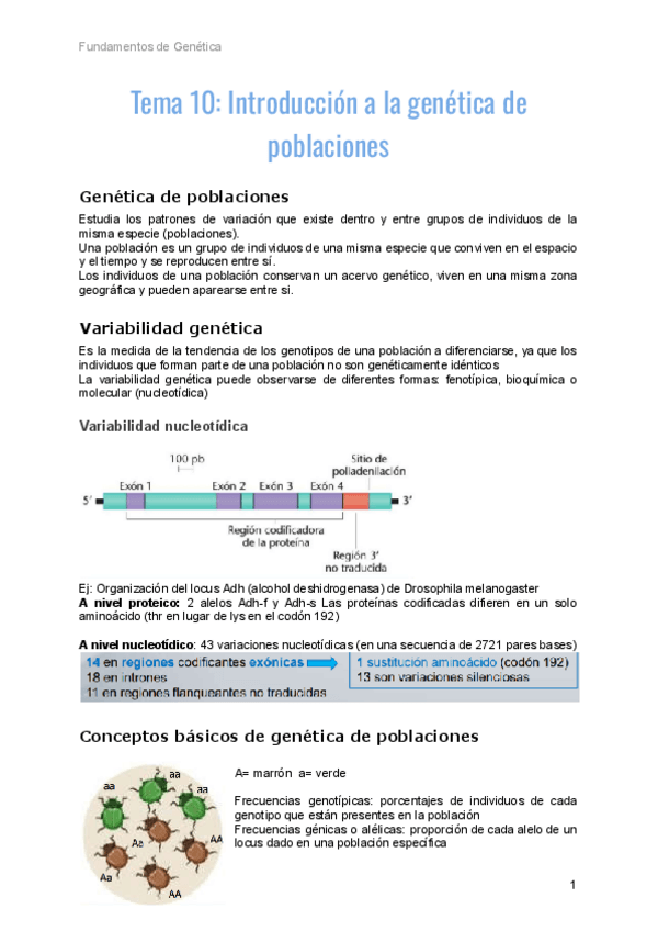 Miniatura del documento Genetica-tema-10.pdf