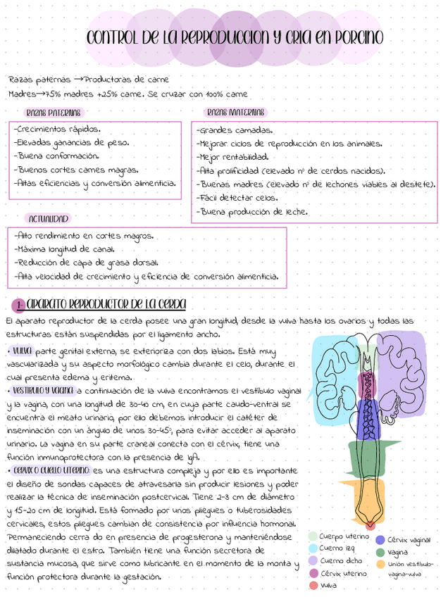 Miniatura del documento reproduccion-cerdos.pdf