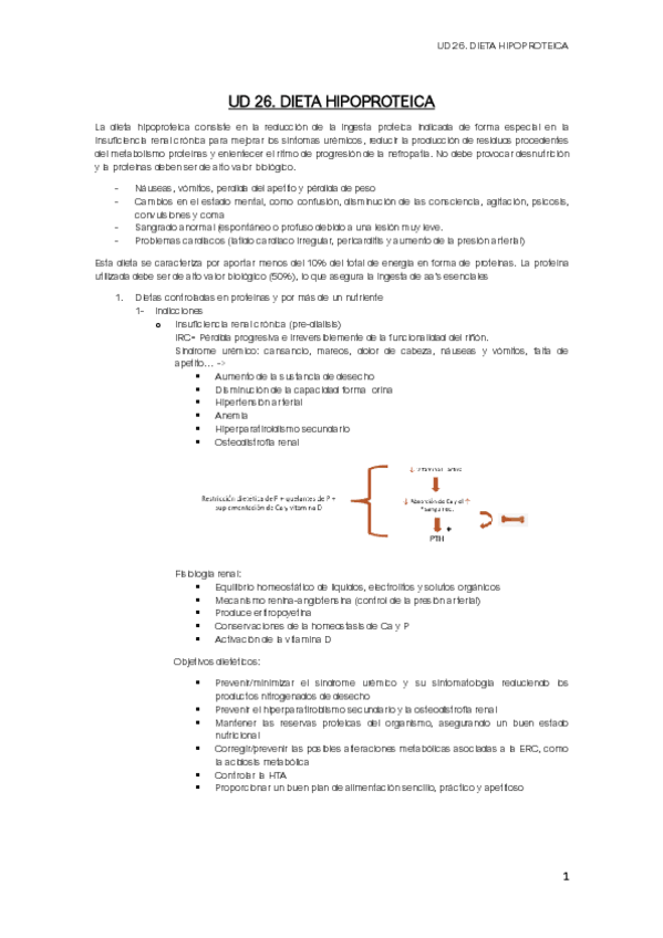 Miniatura del documento UD-26.-DIETA-HIPOPROTEICA.pdf
