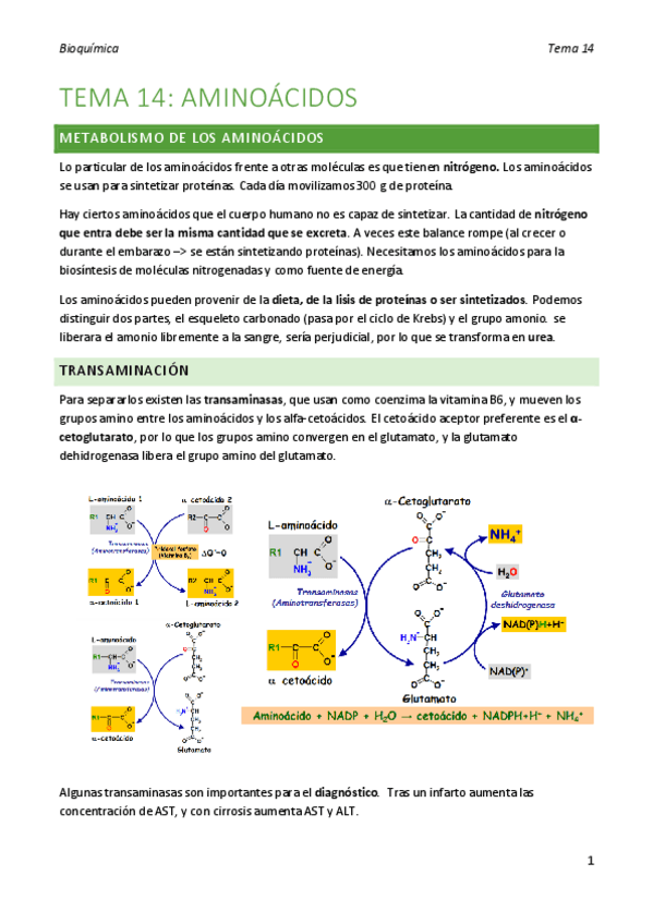 Miniatura del documento bioquimica-tema-14.pdf