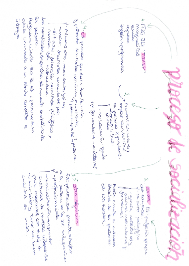 Miniatura del documento proceso-de-socializacion.pdf